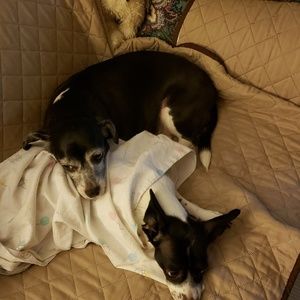 Meet your Posher, Jonilea